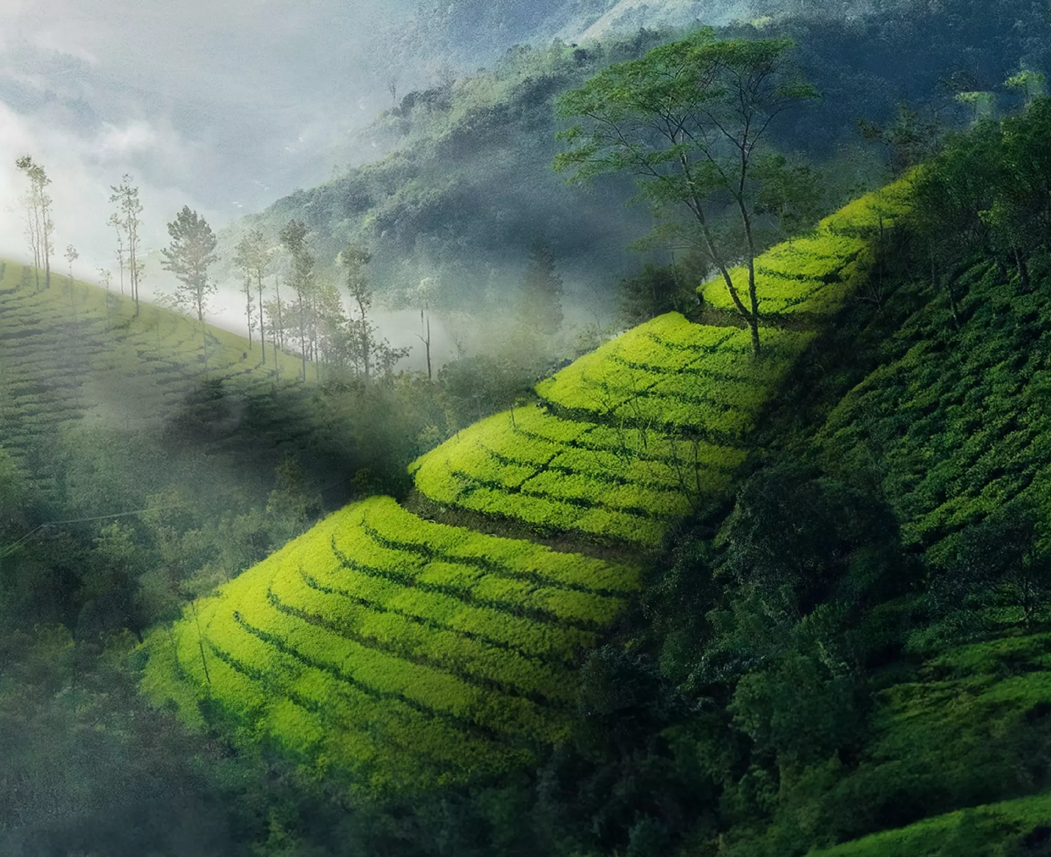 Munnar